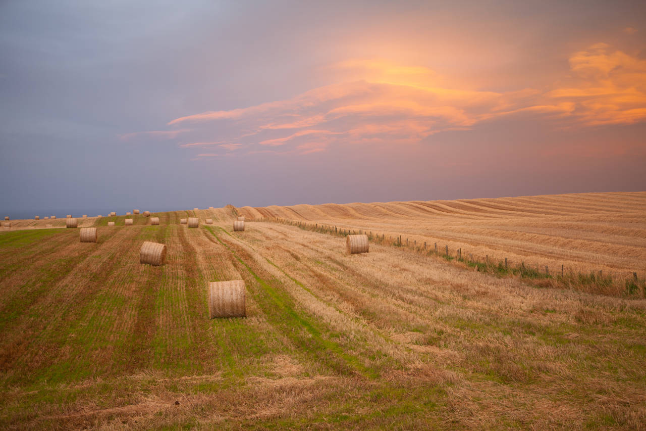 Portraitfotografie Stuttgart- Professionelle Portraitfotos